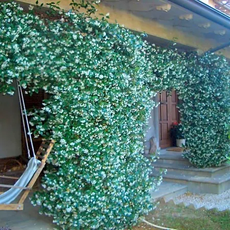 Luce Riflessa 3* Perugia