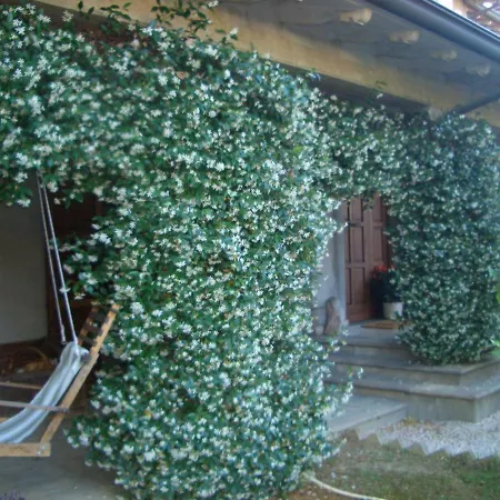 Luce Riflessa Bed & Breakfast